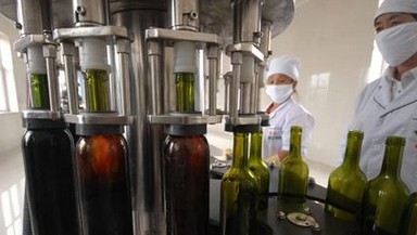 Customized Wine Filling Machine / Wine Bottling Equipment / Wine Bottle Filler